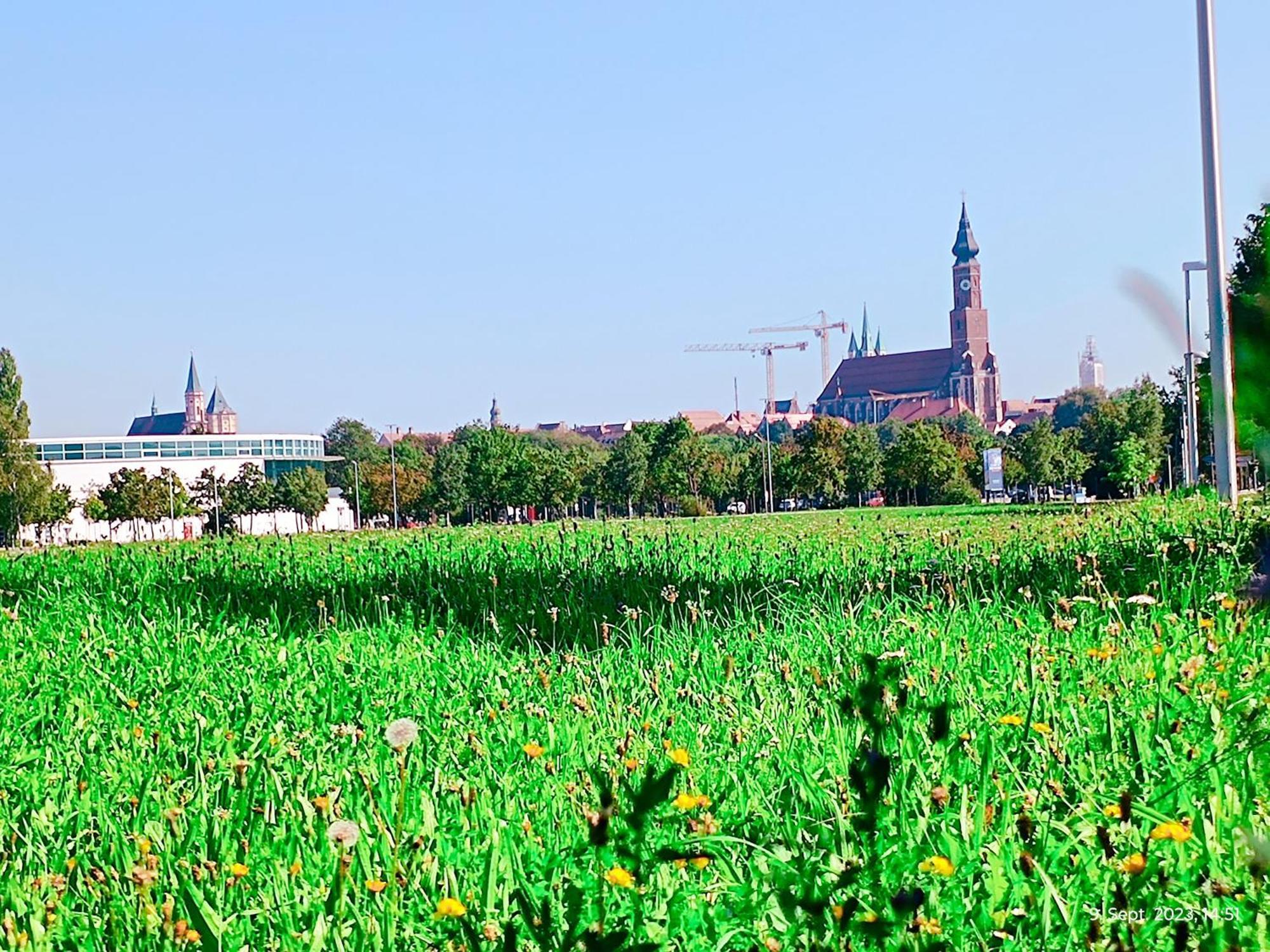 G.A.D.D Ferienwohnung/Glueck An Der Donau Штраубинг Экстерьер фото